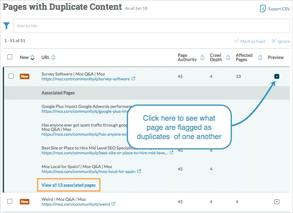 duplicate content check