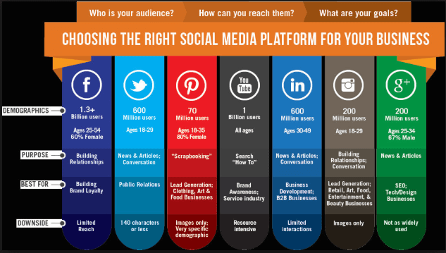 choose right social media platform for your business