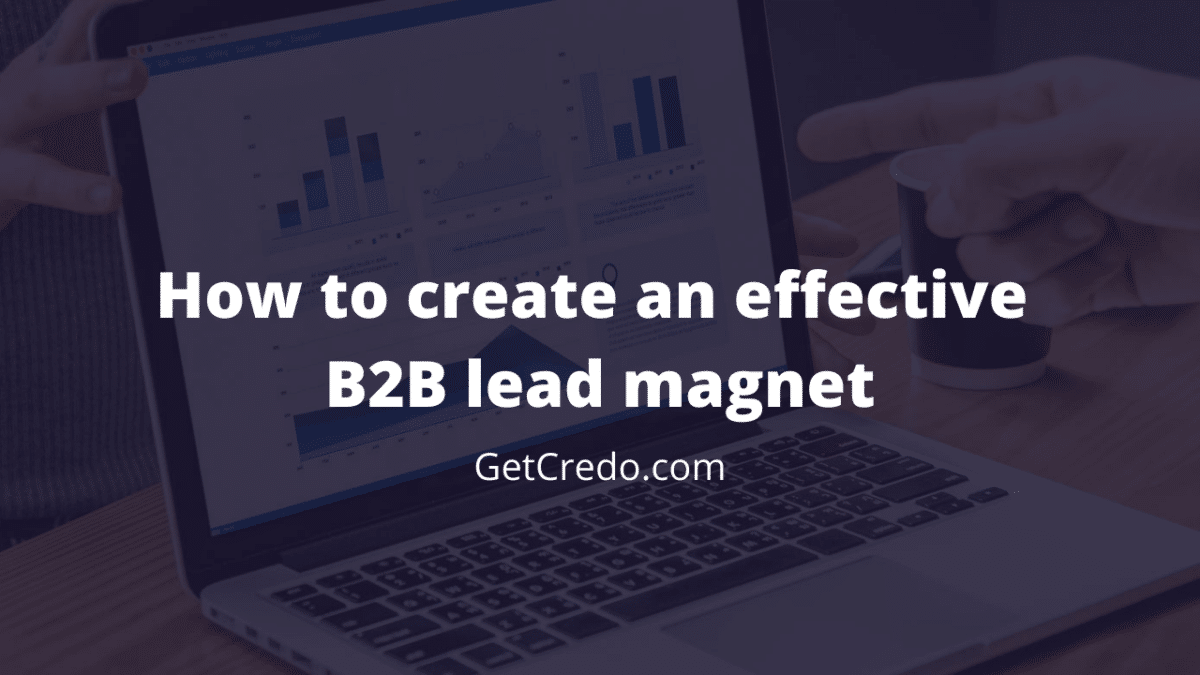 effective b2b lead magnet