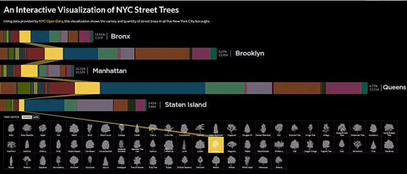NYC Street Data visualization
